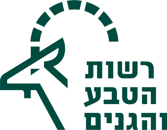 רטג